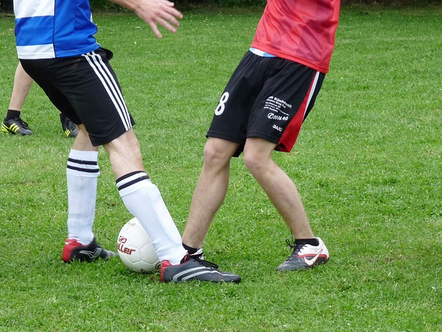 更离不开马 更离不开马