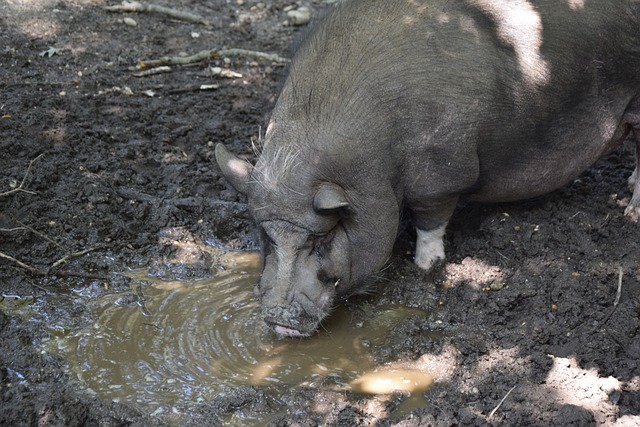 这或许也是 这或许也是