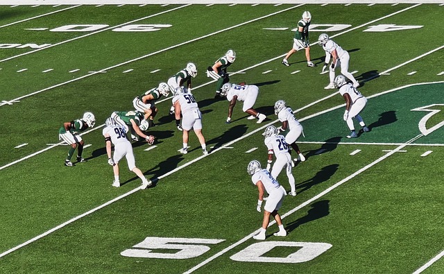 作为一个体 作为一个体